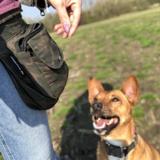 Hipbag Camouflage Hannover – Bild 2